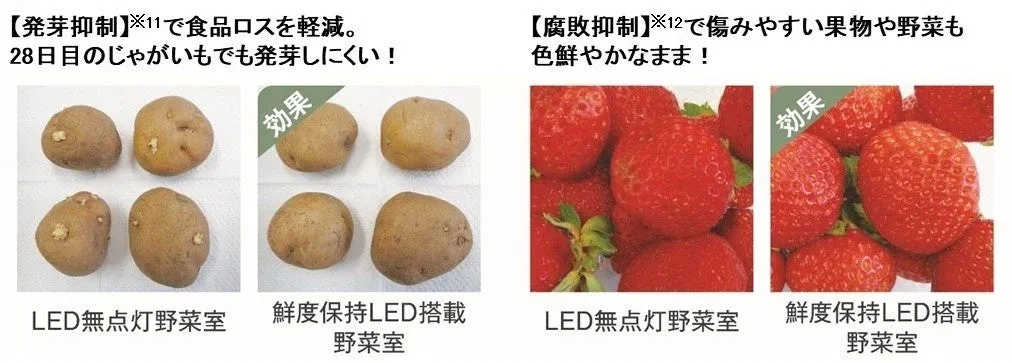 LED搭載の野菜室が、じゃがいもの発芽とイチゴの腐敗を抑制し、食品の鮮度を長く保つ効果を比較する画像